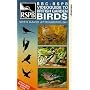 Video Guide To British Garden Birds With David Attenborough [VHS]