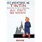 Tintin en Francais