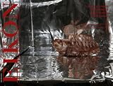 Produkt-Bild: EIKON. Internationale Zeitschrift f&uuml;r Photographie und Medienkunst /International Magazine for Photography and Media Art: Ein Blick auf Australien!: HEFT 53