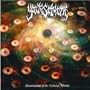 Abominations Of The Nebula Mortiis