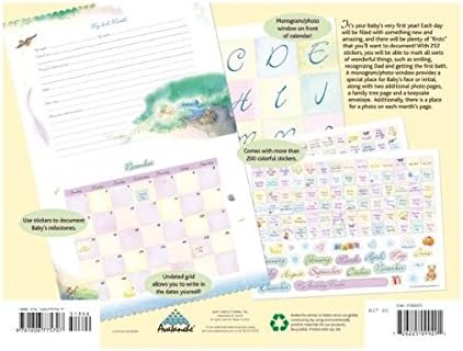 Baby's First Year (Classic) Baby's First Year Sticker Calendar