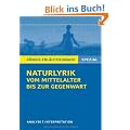 Naturlyrik vom Mittelalter bis zur Gegenwart: Interpretationen zu wichtigen Werken der Epoche