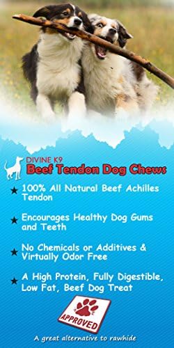 Beef Tendons for Dogs Chews by Divine K9, USDA/FDA Approved, Hormone and Chemical Free (Beef, 10 Pack Large) Perfect for Medium and Large Dog Breeds - USDA/FDA Approved