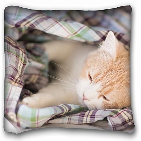 Custom Square Throw Pillow Case Animals kitten blanket - lie down sleep spotted 18"*18" Two Side
