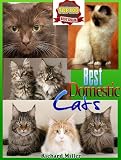 Best Domestic Cats - Revised (Cat Breeds With Pictures)