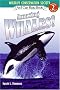 Amazing Whales!