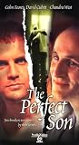 The Perfect Son [VHS]