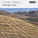 Books : Gyongy Laky (Portfolio Collection)