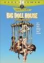 Big Doll House