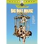 Big Doll House