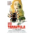 Kiss of the Tarantula horror