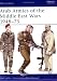 Arab Armies of the Middle East Wars 1948-1973 (Men at Arms Series, 128)