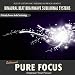 Pure Focus - Binaural Beat Brainwave Subliminal Systems