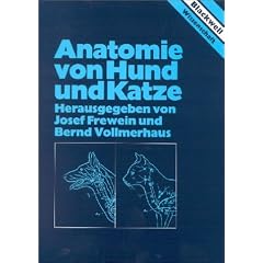 Anatomie von Hund und Katze