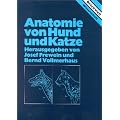 Anatomie von Hund und Katze