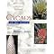 Palms, Cycads and Exotic Plants