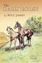 The Dark Horse (Tumbleweed)