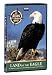 BBC Atlas of the Natural World - Land of the Eagle