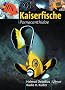 Kaiserfische: Pomacanthidae