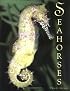 Seahorses