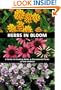 Herbs in Bloom: A Guide to Growing Herbs As Ornamental Plants