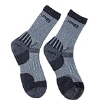 BIOMAX　登山用ソックス２足セット　グレー