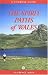 The Spirit Paths of Wales (Cicerone Guide)