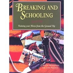 Breaking and Schooling