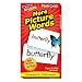 More Picture Words Flash Cards