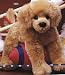 Plush Bella Golden Retriever 16