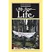 My Sister - Life (European Poetry Classics)