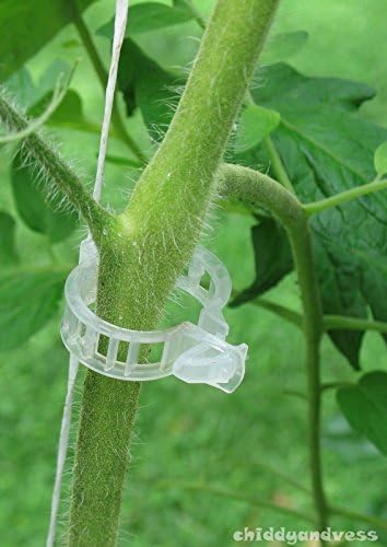 100 Tomato Clips (Clear) - Plant/Vine Supports - Connect to Trellis/Twine/Cages