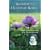 Shower of Heavenly Roses: Inspirational True Stories of Healing Guidance, and other Miracles, Atrributed to the Intercession of Therese of the Little Flower