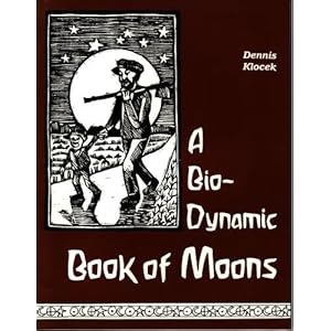 dynamic books