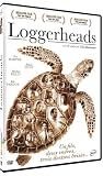 Loggerheads
