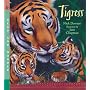 Tigress (Read & Wonder)