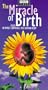 Miracle of Birth, the