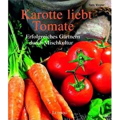 Karotte liebt Tomate. Die richtige Pflanzengemeinschaft.