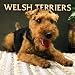 Welsh Terriers 2005 Wall Calendar