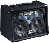 Roland KC-110: Battery-Powered Keyboard Amplifier