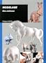 Modelage : Des animaux