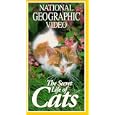 Buy National Geographic's The Secret Life of Cats
