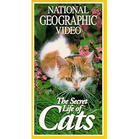 Buy National Geographic's The Secret Life of Cats now!