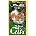 National Geographic's The Secret Life of Cats [VHS]