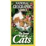 National Geographic's The Secret Life of Cats