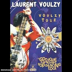 Laurent Voulzy : Le Gothique flamboyant / VoulzyTour 1993 - Coffret 2 DVD