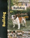 Bulldog (Pet love)