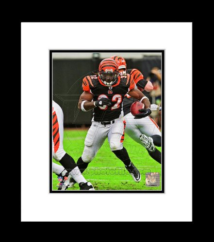 Cincinnati Bengals Cedric Benson 2011 Running Framed Picture 8x10