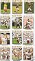 2008 Topps Washington Redskins Complete Team Set of 14 cards including Clinton Portis, Colt Brennan rookie and more!