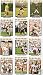 2008 Topps Washington Redskins Complete Team Set of 14 cards including Clinton Portis, Colt Brennan rookie and more!